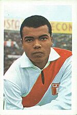 Archivo:Teofilo cubillas panini card