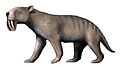 Thylacosmilus NT small