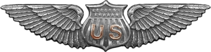 Archivo:USA - Aviator Wings WWI era