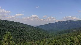 Valsaín Mounts, Guadarrama National Park (Spain).jpg