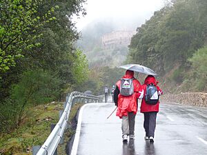 Archivo:Valvanerada-Caminantes llegando a Valvanera
