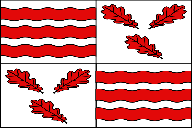 Vlag Froidchapelle
