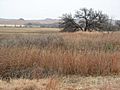 Washita-battlefield-2