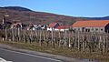 Wettolsheim 016