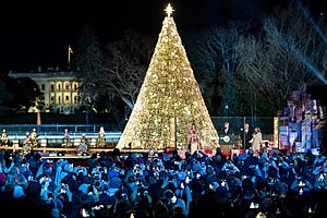 Archivo:2019 National Christmas Tree Lighting Ceremony (49178332446)