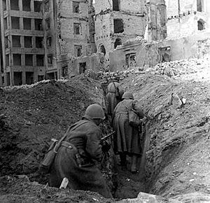 Archivo:62. armata a Stalingrado