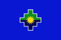 Bandera Región Puno