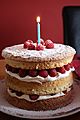 Birthday cake, Downpatrick, April 2010 (02)