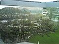 Bosque central itesm cva