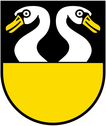 CHE Oberhünigen COA