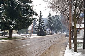 Archivo:Cabañas Trevelin nieve 166