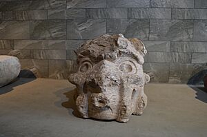 Archivo:Cabeza clava silbadora