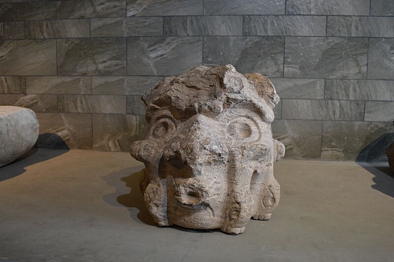 Cabeza clava silbadora