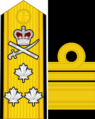 Canada-Navy-OF-8-collected