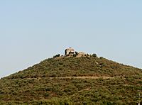 Castell de Torcafelló Vista