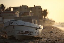 Chuburna Puerto 2013.jpg