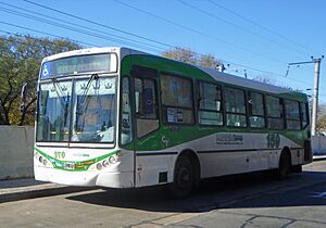 Archivo:Colectivo de la línea 159 (de la empresa MOQSA), a su paso por la estación Berazategui