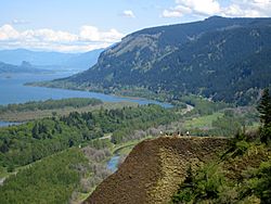 Columbia river gorge from crown point.jpg