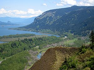 Archivo:Columbia river gorge from crown point