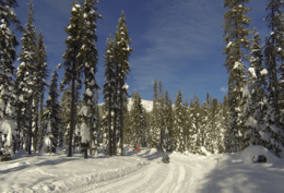 Archivo:Diamond lake snowmobile trail near mount bailey GOPR2154