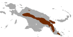 Mapa de distribución de Zaglossus bartoni