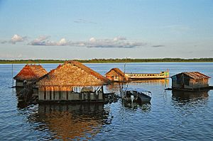Archivo:Floating houses on the Amazon