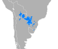 Idioma guaraní