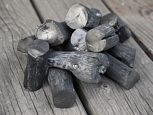 Archivo:Japanese Binchōtan (Japanese high-grade charcoal produced from ubame oak)