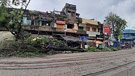 Archivo:Kolkata after Amphan 04
