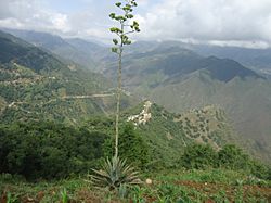La Ciénega.jpg