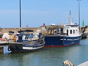 Archivo:Les Cases d'Alcanar. El puerto pesquero de Alcanar