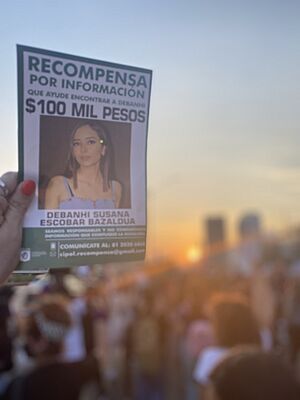 Manifestación por la desparición de Debanhi Escobar.jpg