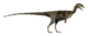 Masiakasaurus LMR.png