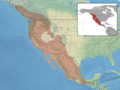 Myotis californicus distribution