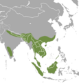 Oriental Small-clawed Otter area