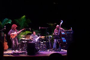 Archivo:Pat Metheny Trio