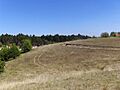 Paysage de la Deliblatska peščara