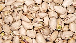 Pistachio vera.jpg