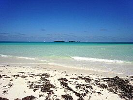 Playa PIlar III.jpg