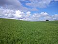 Pradera.MDR