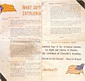 Primera-estelada-1918