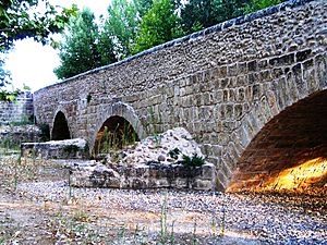Puente Romano de Talamanca de Jarama en Madrid.jpg