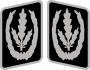 Reichsführer-SS Collar Rank.svg