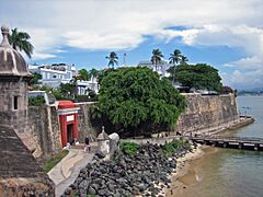 San Juan City Wall 6