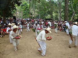 Tabasco.Danza de las Sardinas.JPG