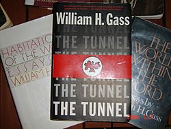 Archivo:The Tunnel