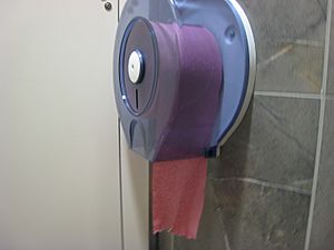 Archivo:Toilet paper in Ljubljana