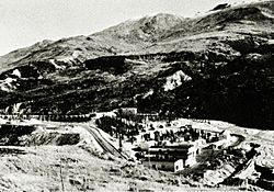 Usibelli Mine plant, Suntrana Alaska, 1950s.jpg