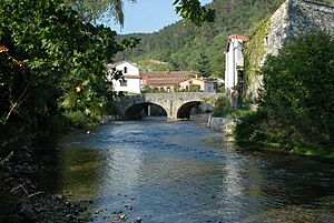 Archivo:Vipava Tabor Bruecke 15092007 42