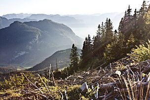 Archivo:Alpen by Horst Michael Lechner